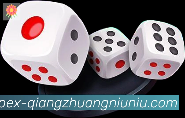 未来规划